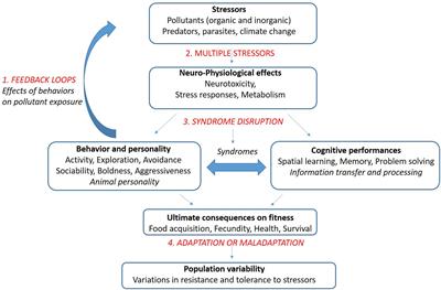 Effects of Pollution on Fish Behavior, Personality, and Cognition: Some Research Perspectives